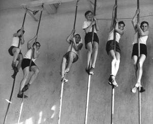 7804311.576bd072.640