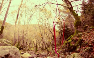 kiinnitys-j-avalineturvallisuuskoulutus